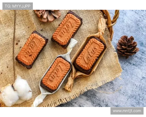 布朗尼4分钟情绪不佳雷迪克释因 布朗尼4分钟情绪不佳雷迪克释因